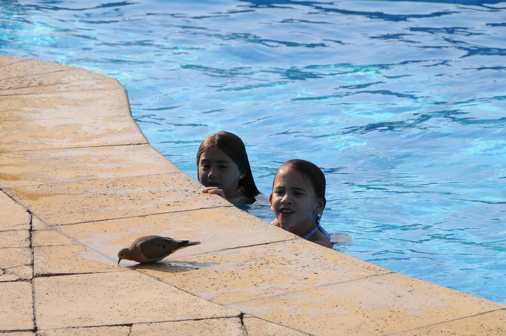 Arapey Oasis Termal Hotel Termas del Arapey Kültér fotó